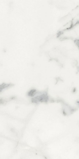 Picture of Elysium - Origines 12 x 24 Glossy Blanc