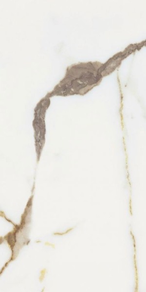 Picture of Elysium - Origines 12 x 24 Glossy Or