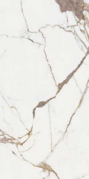 Picture of Elysium - Origines 24 x 48 Glossy Or