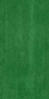 Picture of Mohawk Group - Hot and Heavy II Chromascope 2.5 Restorative Green