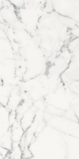 Picture of Elysium - Origines 24 x 48 Matte Blanc