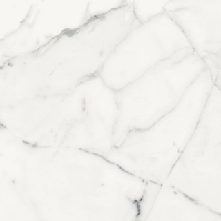 Picture of Elysium - Origines 24 x 24 Matte Blanc