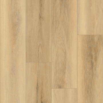 Picture of Palmetto Road - Emerald Isle Surf