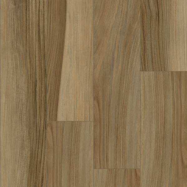 Picture of Palmetto Road - Emerald Isle Cape