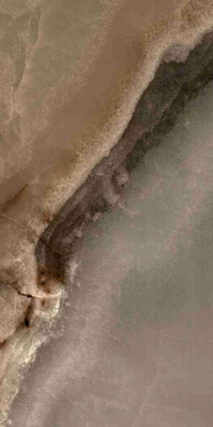 Picture of Elysium - Reves 12 x 24 Glossy Choco