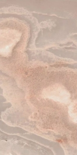 Picture of Elysium - Reves 12 x 24 Glossy Rose