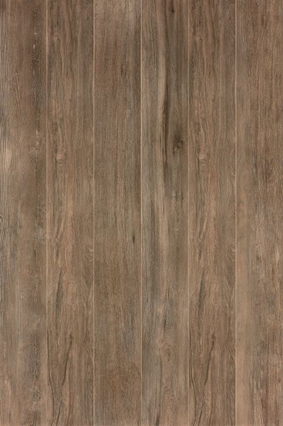 Picture of Elysium - Selection Oak 6 x 36 Brown
