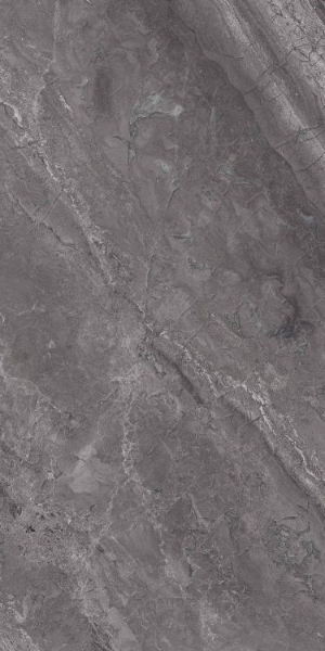 Picture of Elysium - Supreme 12 x 24 Charcoal Naturale