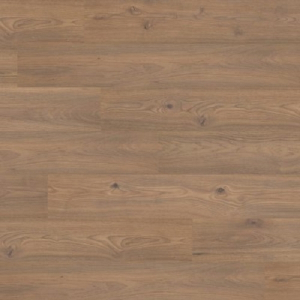 Picture of Quick-Step - Stellaris Eclipse Hickory