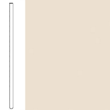 Picture of Mohawk Group - Straight Wall Base 4 .125 Cream