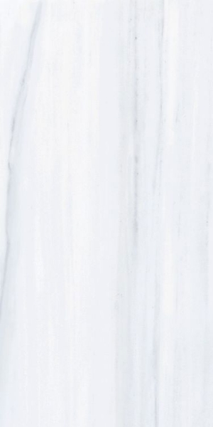 Picture of Elysium - Dolomite Supreme 12 x 24 Dolomite Supreme Matte