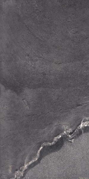 Picture of Elysium - Grant 24 x 48 Night