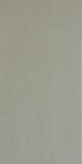 Picture of Elysium - Grey 12 x 24 Matte Light