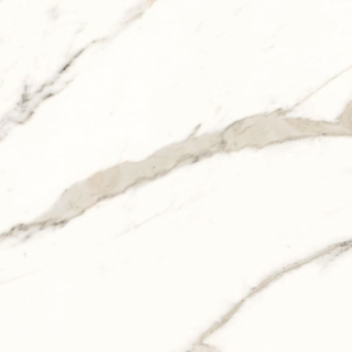 Picture of Elysium - Trilogy 24 x 24 Calacatta White Soft
