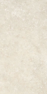 Picture of Elysium - Untamed 12 x 24 Wander Warm