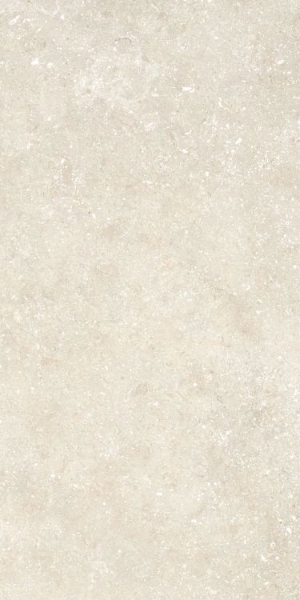 Picture of Elysium - Untamed 12 x 24 Wander Warm