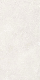 Picture of Elysium - Untamed 12 x 24 Wander White