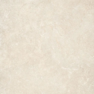 Picture of Elysium - Untamed 48 x 48 Wander Warm