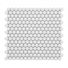 Picture of Elysium - Hulu Penny Round Mosaic White Matte