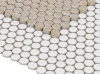 Picture of Elysium - Hulu Penny Round Mosaic White Matte