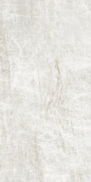 Picture of Elysium - Kraken 24 x 48 Kraken Matte