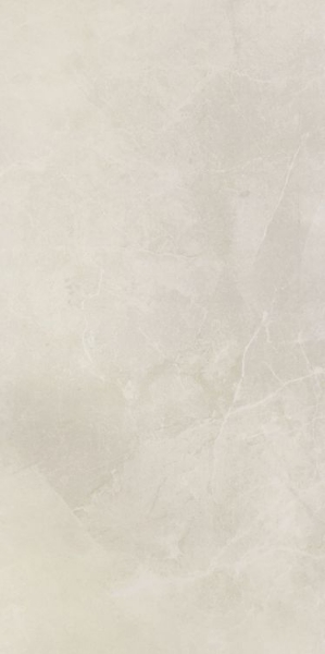 Picture of Elysium - NG Pulpis Prime 24 x48 Light Grey