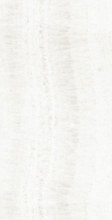 Picture of Elysium - OL Overland 12 x 24 Matte Onyx White