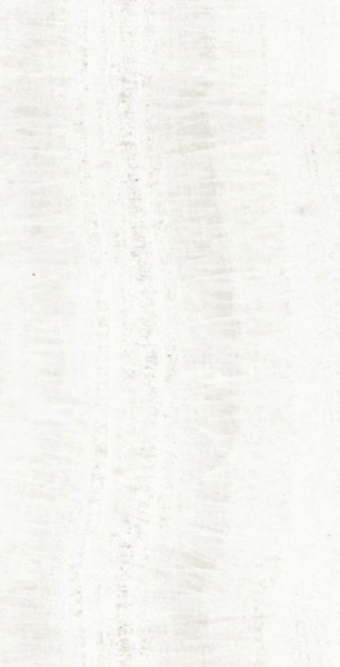 Picture of Elysium - OL Overland 12 x 24 Matte Onyx White