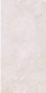 Picture of Elysium - OL Overland 12 x 24 Matte Port Land Stone Bianco