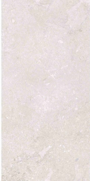 Picture of Elysium - OL Overland 12 x 24 Matte Port Land Stone Bianco