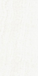 Picture of Elysium - OL Overland 12 x 24 Polished Onyx White