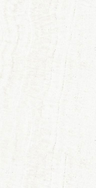 Picture of Elysium - OL Overland 12 x 24 Polished Onyx White