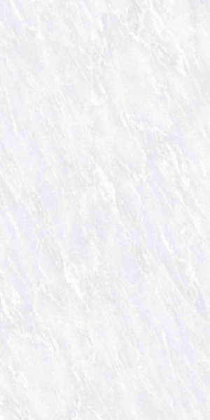 Picture of Elysium - OL Overland 12 x 24 Polished Vivid White