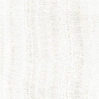 Picture of Elysium - OL Overland 24 x 24 Matte Onyx White