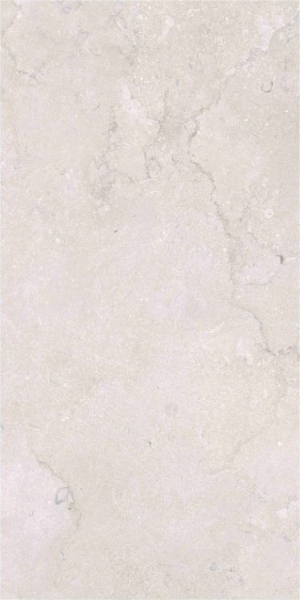 Picture of Elysium - OL Overland 24 x 48 Matte Port Land Stone Bianco