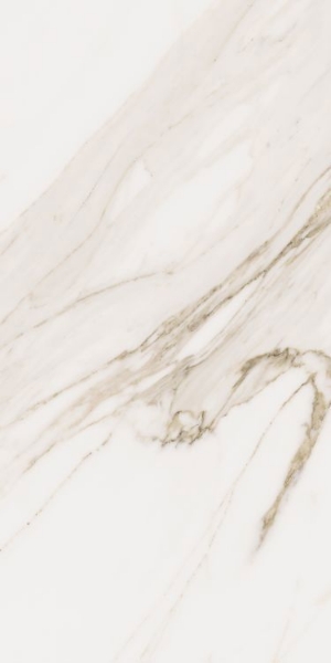 Picture of Elysium - Omnia 12 x 24 Calacatta Levigato