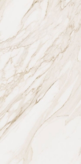 Picture of Elysium - Omnia 24 x 48 Calacatta Levigato