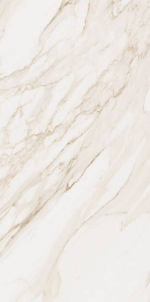 Picture of Elysium - Omnia 24 x 48 Calacatta Levigato