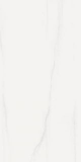 Picture of Elysium - Prestigio 24 x 48 Matte Dolomite Soft