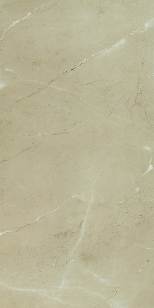 Picture of Elysium - Prestigio 30 x 60 Polished Arcadia Lucido