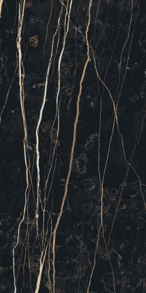 Picture of Elysium - Prexious 12 x 24 Matte Thunder Night