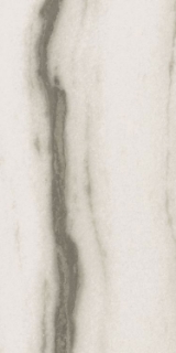 Picture of Elysium - Prexious 12 x 24 Matte White Fantasy