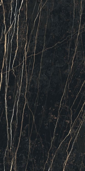 Picture of Elysium - Prexious 24 x 48 Polished Thunder Night