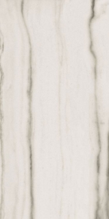 Picture of Elysium - Prexious 24 x 48 Polished White Fantasy