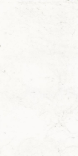 Picture of Elysium - Pure 24 x 48 Carrara Lux