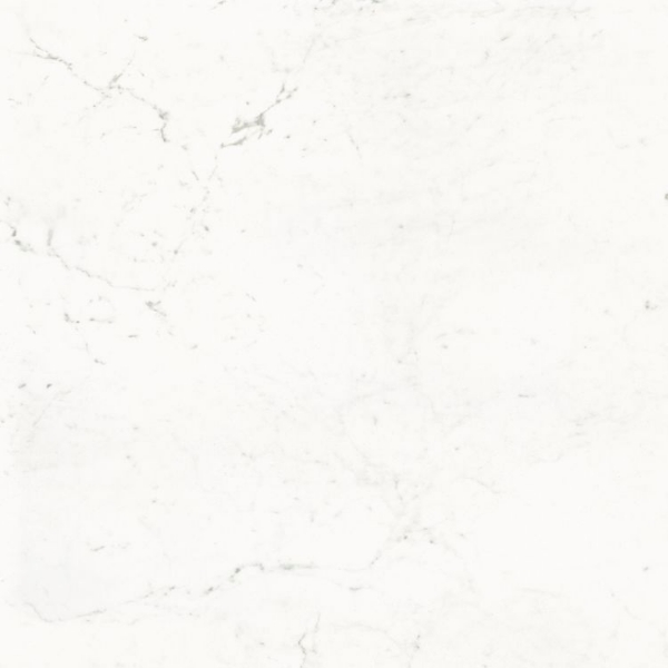 Picture of Elysium - Pure 48 x 48 Carrara Nat