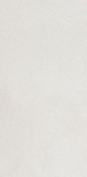 Picture of Elysium - Rania 24 x 48 Blanco