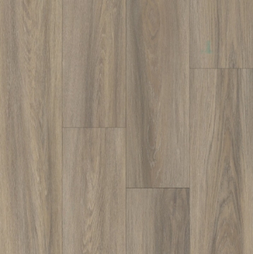 Picture of Happy Feet Intl. - Broadway Sussex