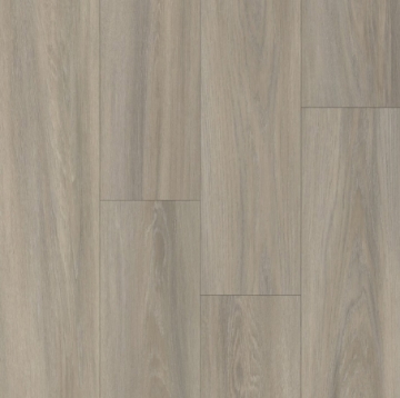 Picture of Happy Feet Intl. - Broadway Normandy