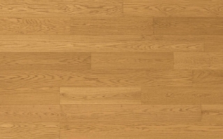 Picture of Norwood Hill - Allure Enthrall